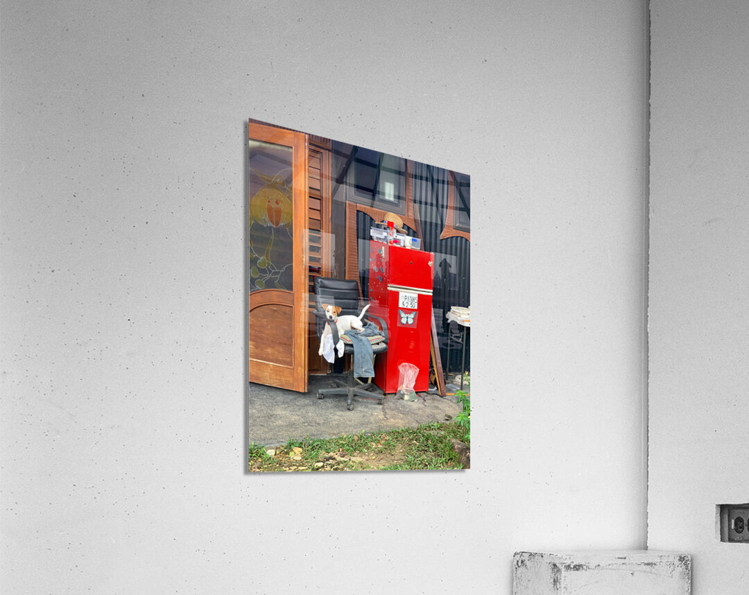 The Red Fridge and the Dog 1 Acrylic Print