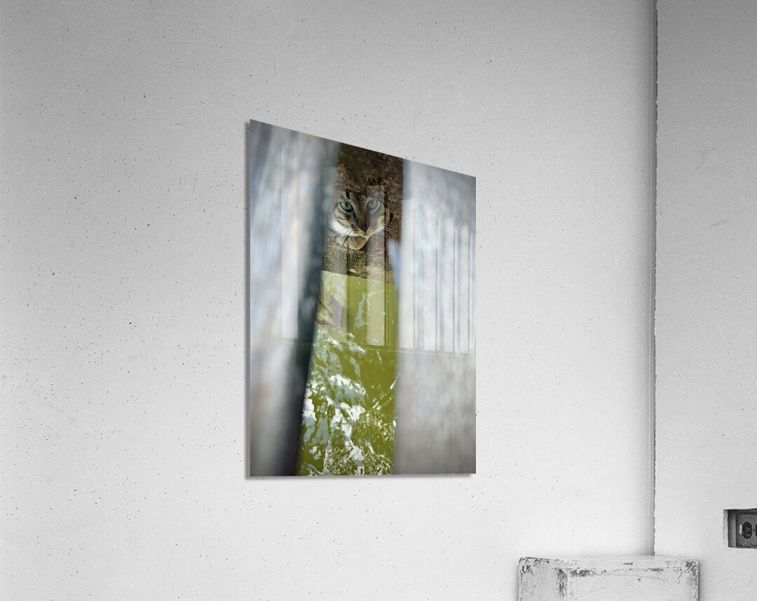 Kampong Ayer Floating Village Brunei 5 Acrylic Print