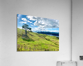 Beautiful Scenery  Acrylic Print