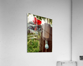 Red Flower & Homemade Lamp in Thailand  Acrylic Print