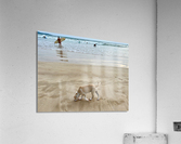 Puppy Walking on the Beach  Impression acrylique