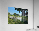 Yala National Park Sri Lanka 3  Acrylic Print