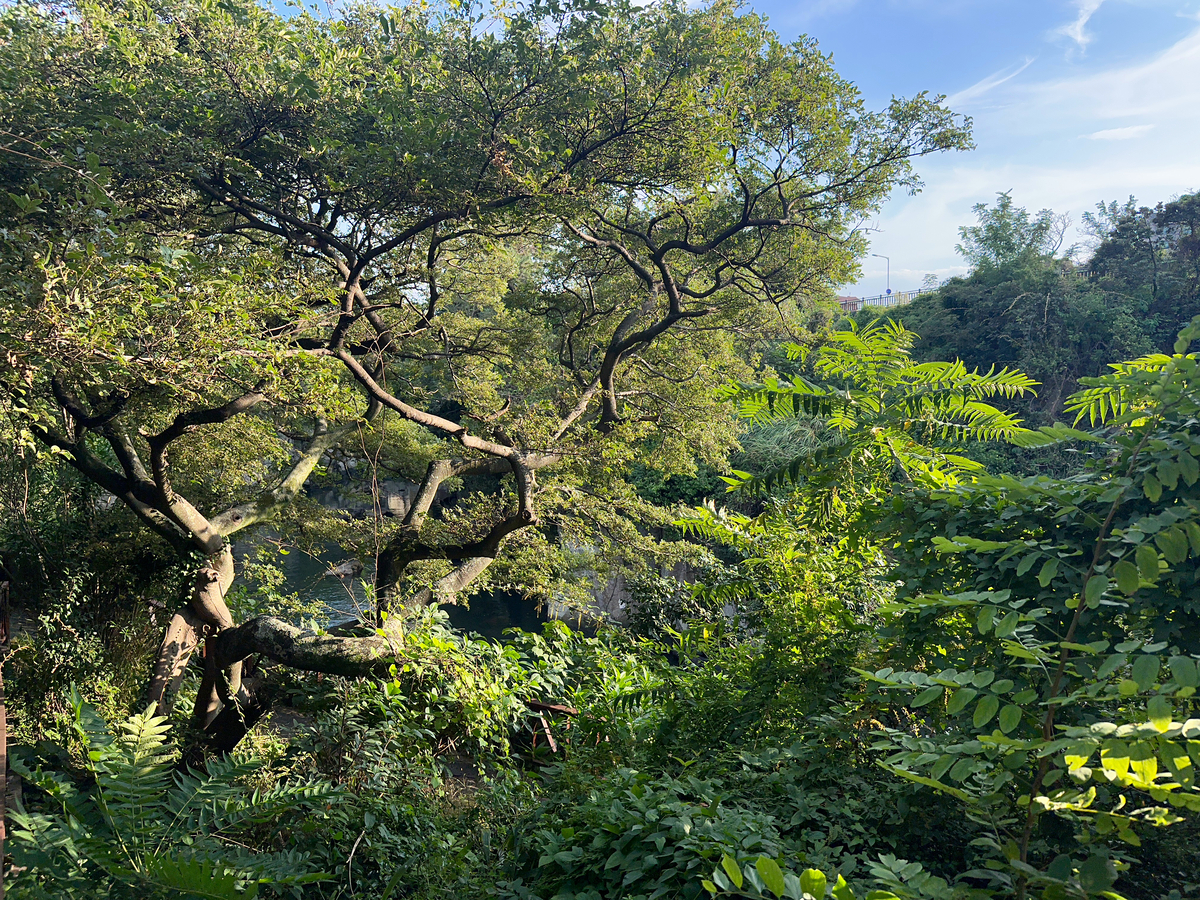 Impression de cadre personnalisé
