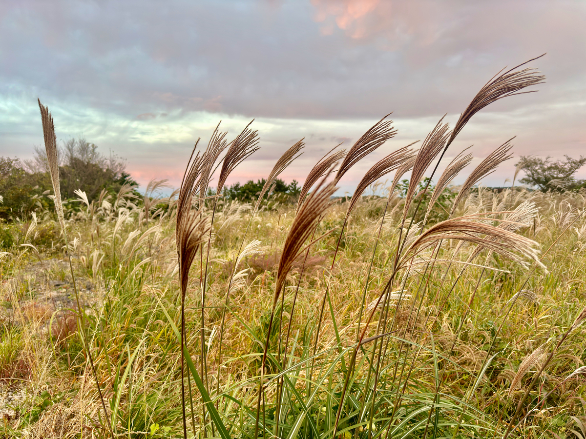 Impression de cadre personnalisé