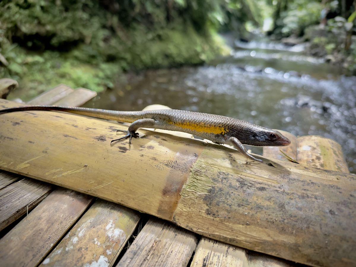 Impression de cadre personnalisé