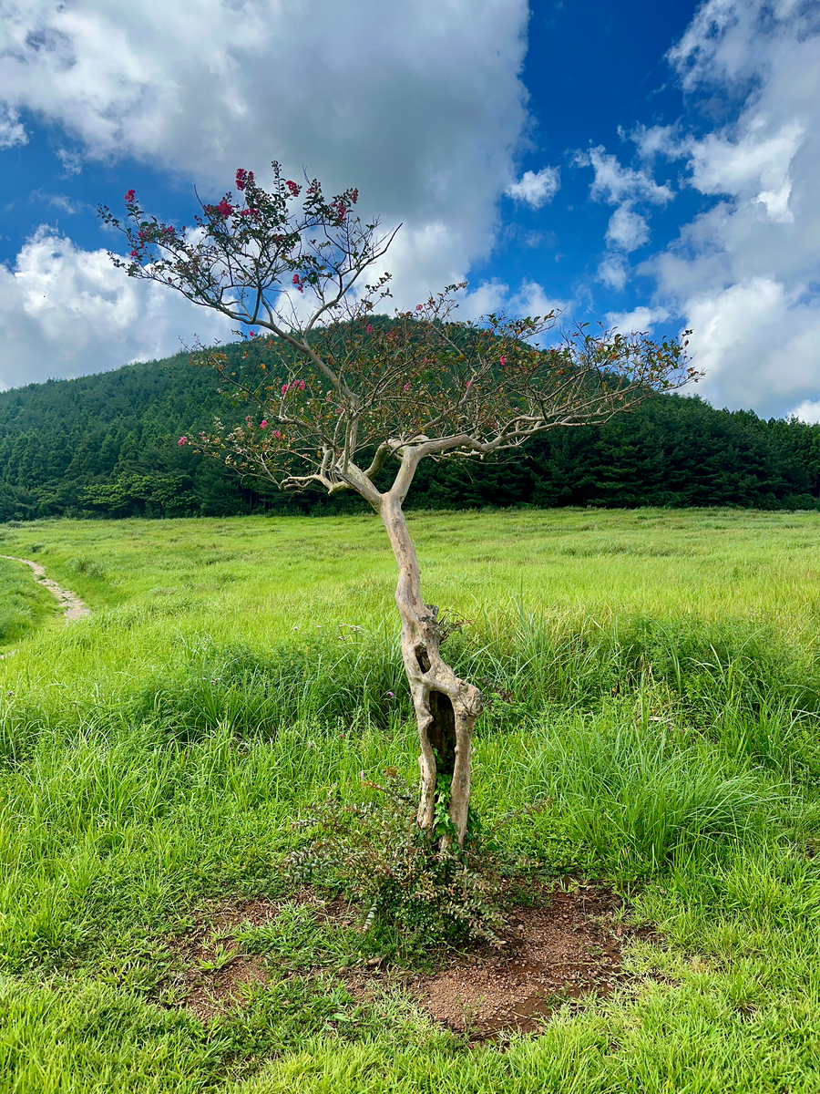 Impression de cadre personnalisé