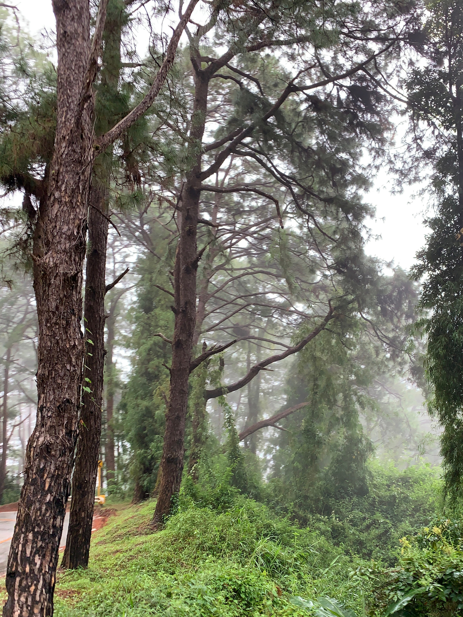 Impression de cadre personnalisé