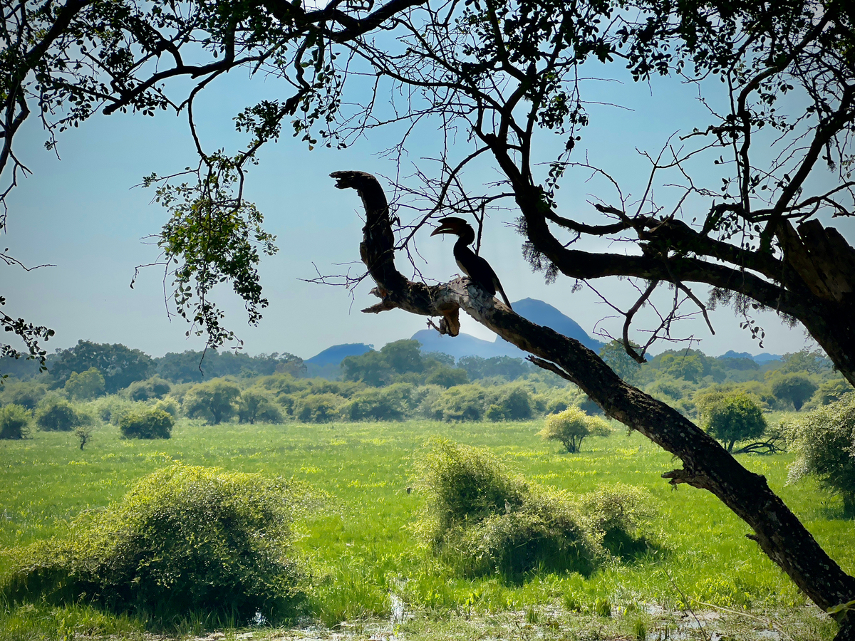 Impression de cadre personnalisé