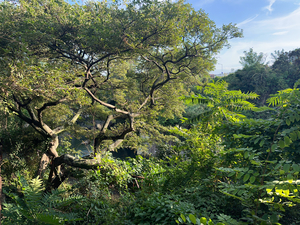 Around Jeju City South Korea 8