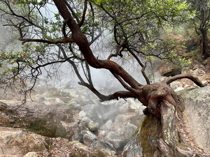 Cibuni Rengganis Crater Java Indonesia 7