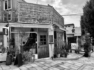 Homey Feeling Seoul South Korea