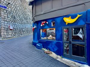 Ihwa Mural Village Seoul Korea 4