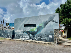 Seogwipo Jeju South Korea 2