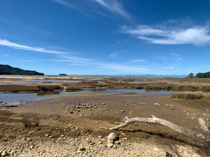 Abel Tasman National Park New Zealand 1