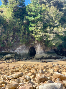 Abel Tasman National Park New Zealand 2