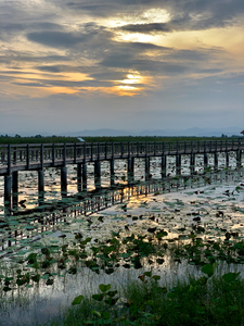Amazing Walkway on the Lake During Sunset