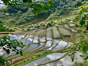 Banaue Philippines 11