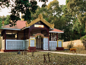 Dog Going to Temple