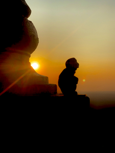 Enlightened Monkey at Sunset