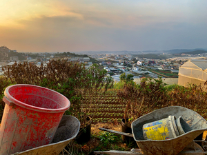 Gardening Equipment for Sunset