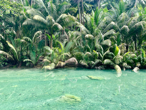 Jungle Green