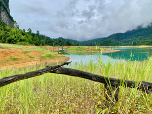 Khao Sok National Park 1