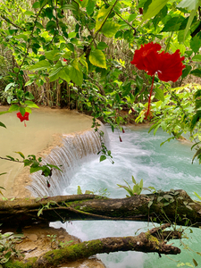 Kuang Si Waterfalls 3
