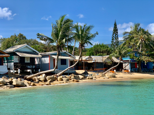 L Shaped Palm Trees Beach