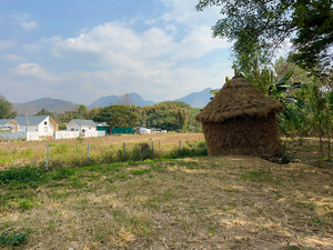 Last Straw Hut Standing