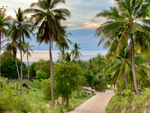 Ocean on the Horizon