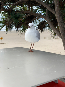 One Leg Balance