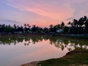 Purple Reflection on the Lake