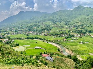 Rice Fields in Sapa 5