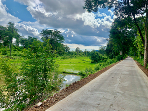 Riding by the Rice Fields