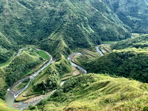 S-Shaped River Rice Valley