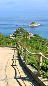 Sai Daeng Koh Tao