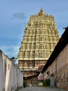 Side of Sree Padmanabhaswamy Temple