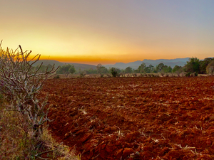 Sunset Over the Red Soil 