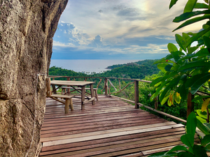 The Picnic View