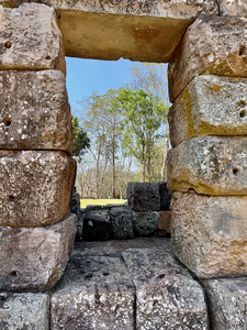 There is a Tree Outside