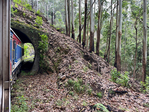 Train Through the Mini Tunnel