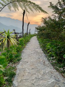 Walking to the Sunset