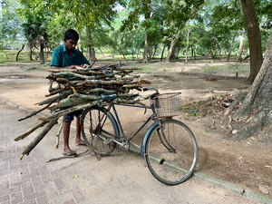 Wood Delivery on Bike