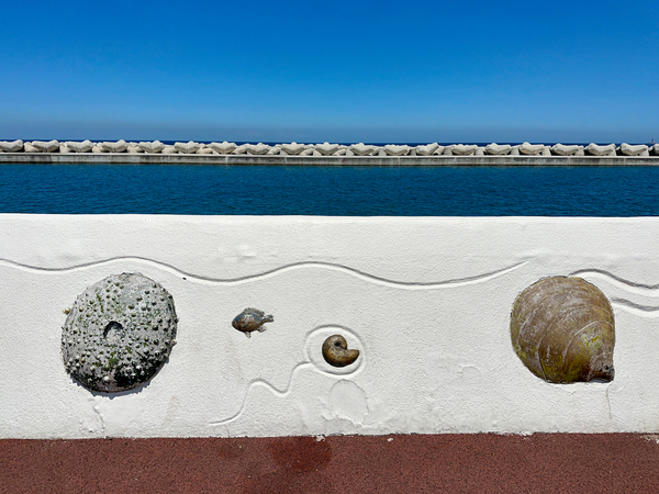 Boardwalk Jeju South Korea 2 Print