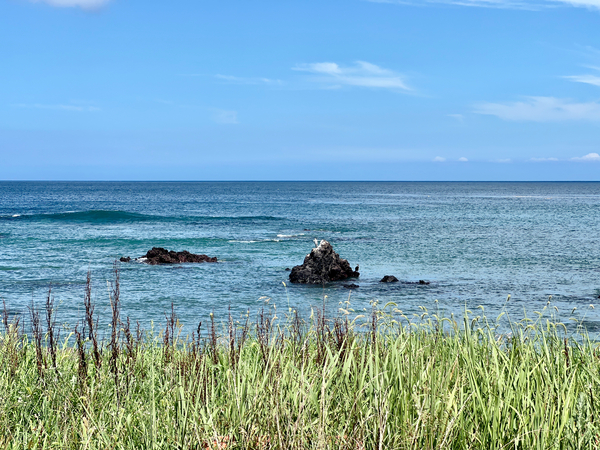 Calm Ocean Udo South Korea Print