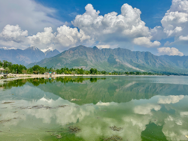 Dal Lake Srinagar 4 Print