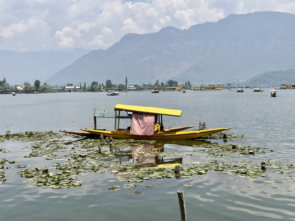 Dal Lake Srinagar 9 Print