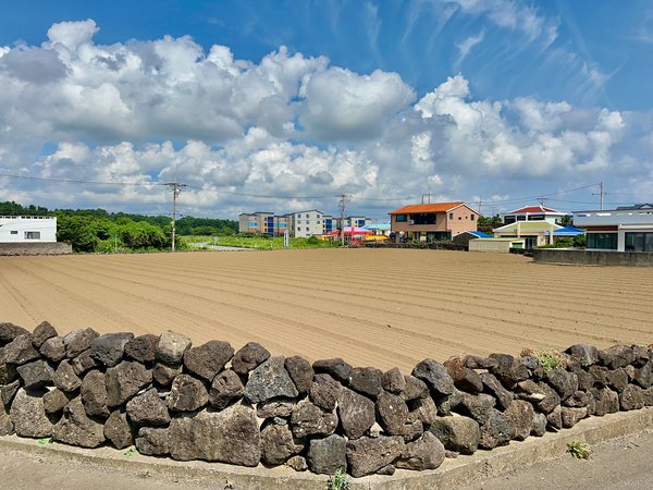 East Coast Jeju South Korea 1 Print