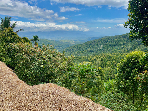 From the Rooftop Munduk Bali Print
