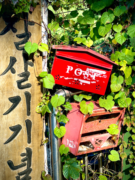 Ihwa Mural Village Seoul Korea 11 Print